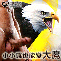 【小小雞也能變大鷹!】大屌養成計畫 兩個月讓你超級屌 法國戰神增大膏超值3入組只要5499元-增大型